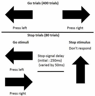 GABRB1 Single Nucleotide Polymorphism Associated with Altered Brain Responses (but not Performance) during Measures of Impulsivity and Reward Sensitivity in Human Adolescents